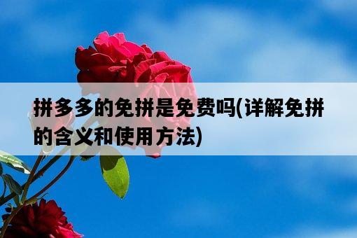拼多多的免拼是免費嗎，詳解免拼的含義和使用方法-圖1