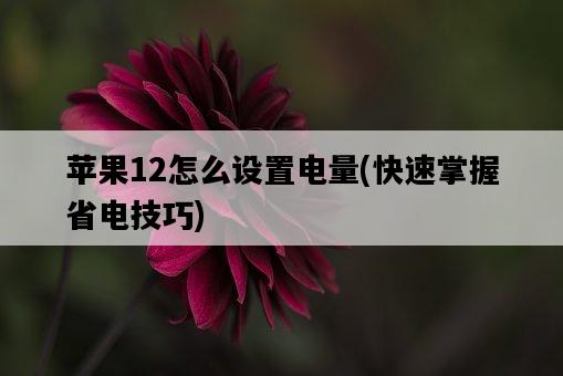 蘋果12怎么設置電量，快速掌握省電技巧-圖1