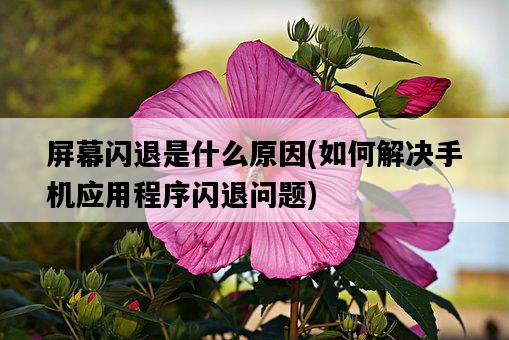屏幕閃退是什么原因，如何解決手機應用程序閃退問題-圖1