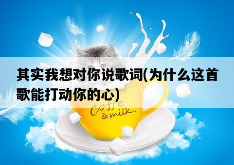 其實我想對你說歌詞，為什么這首歌能打動你的心-圖1