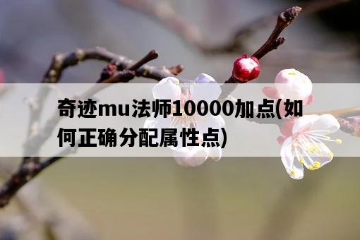 奇跡mu法師10000加點，如何正確分配屬性點-圖1