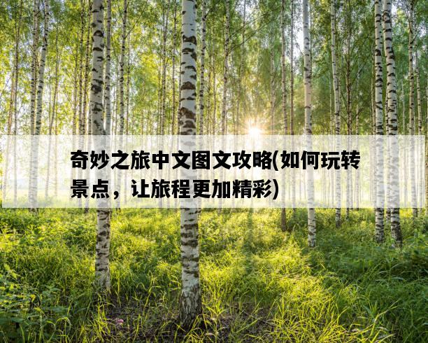 奇妙之旅中文圖文攻略，如何玩轉景點，讓旅程更加精彩-圖1