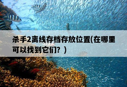 殺手2離線存檔存放位置，在哪里可以找到它們？-圖1
