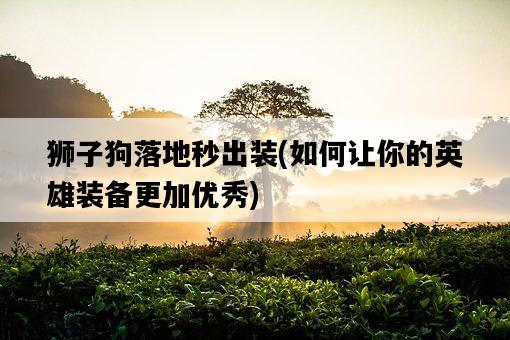 獅子狗落地秒出裝，如何讓你的英雄裝備更加優秀-圖1