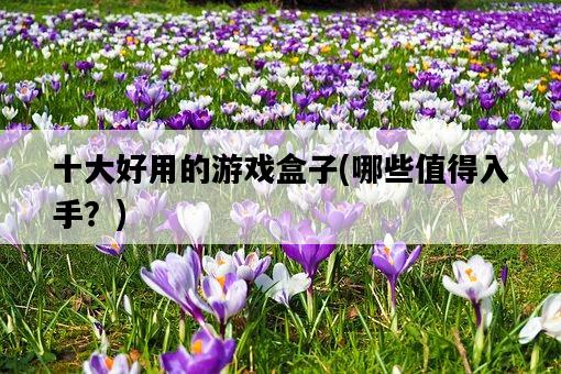 十大好用的游戲盒子，哪些值得入手？-圖1