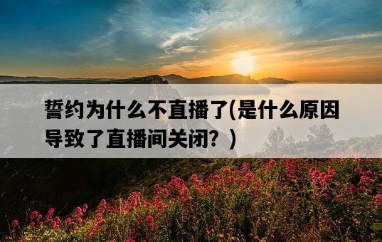 誓約為什么不直播了，是什么原因導致了直播間關閉？-圖1