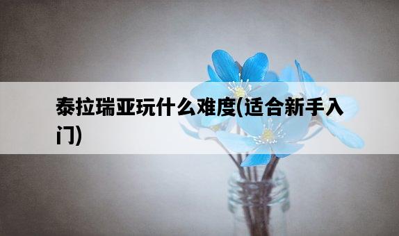 泰拉瑞亞玩什么難度，適合新手入門-圖1