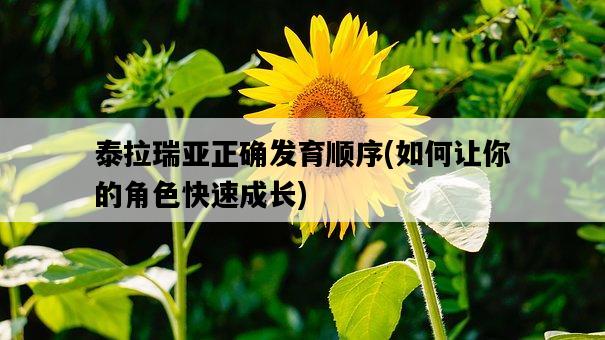 泰拉瑞亞正確發育順序，如何讓你的角色快速成長-圖1