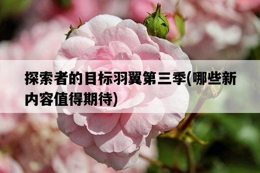 探索者的目標羽翼第三季，哪些新內容值得期待-圖1