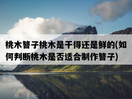 桃木簪子桃木是干得還是鮮的，如何判斷桃木是否適合制作簪子-圖1
