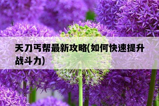 天刀丐幫最新攻略，如何快速提升戰斗力-圖1