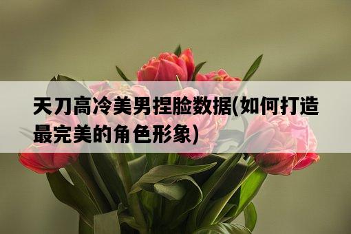 天刀高冷美男捏臉數據，如何打造最完美的角色形象-圖1