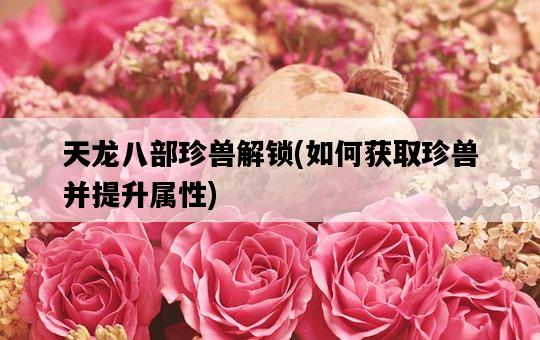 天龍八部珍獸解鎖，如何獲取珍獸并提升屬性-圖1
