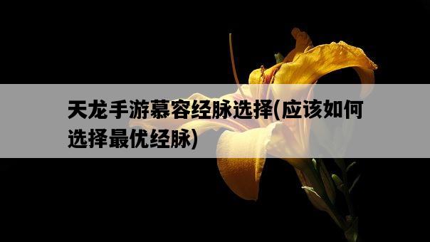天龍手游慕容經脈選擇，應該如何選擇最優經脈-圖1