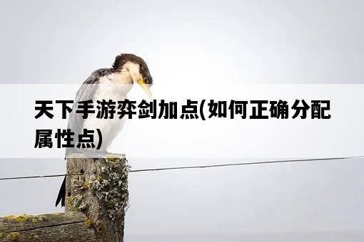 天下手游弈劍加點，如何正確分配屬性點-圖1