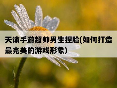 天諭手游超帥男生捏臉，如何打造最完美的游戲形象-圖1