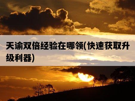 天諭雙倍經驗在哪領，快速獲取升級利器-圖1