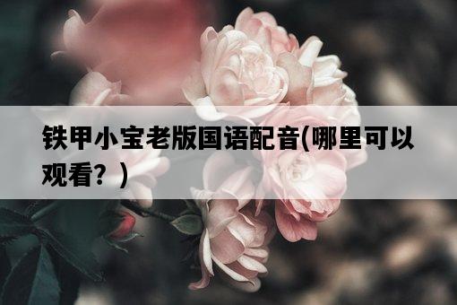 鐵甲小寶老版國語配音，哪里可以觀看？-圖1