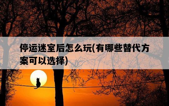 停運迷室后怎么玩，有哪些替代方案可以選擇-圖1