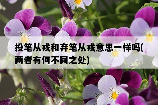 投筆從戎和棄筆從戎意思一樣嗎，兩者有何不同之處-圖1