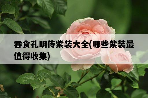 吞食孔明傳紫裝大全，哪些紫裝最值得收集-圖1