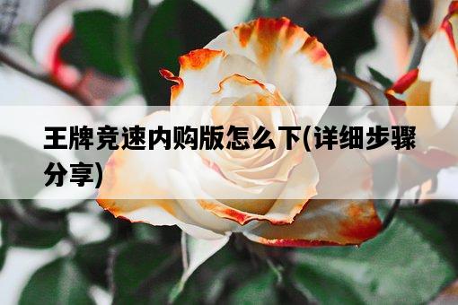 王牌競速內購版怎么下，詳細步驟分享-圖1