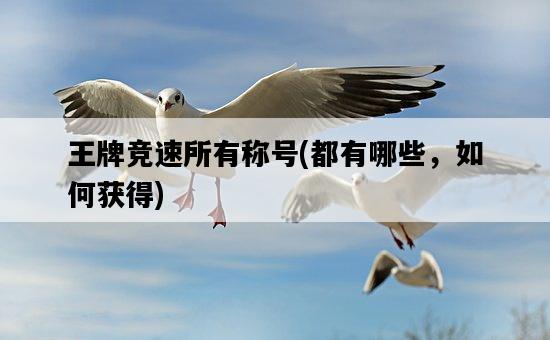 王牌競速所有稱號，都有哪些，如何獲得-圖1