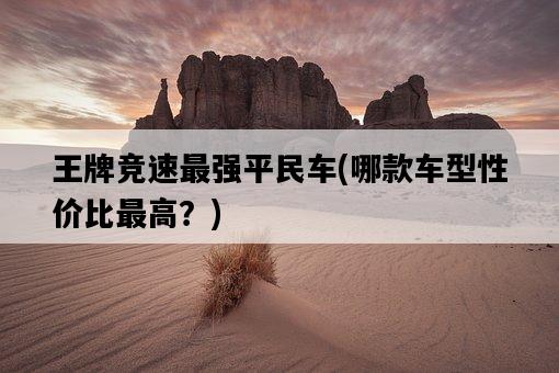 王牌競速最強平民車，哪款車型性價比最高？-圖1