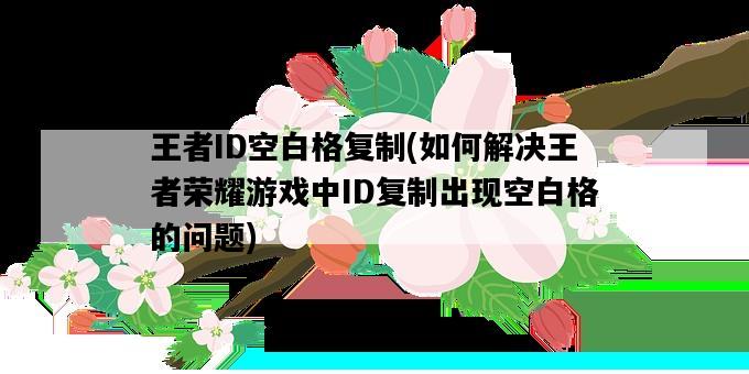 王者ID空白格復制，如何解決王者榮耀游戲中ID復制出現空白格的問題-圖1
