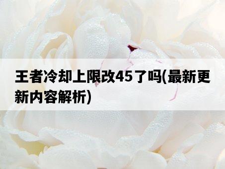 王者冷卻上限改45了嗎，最新更新內容解析-圖1