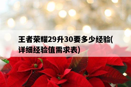 王者榮耀29升30要多少經驗，詳細經驗值需求表-圖1