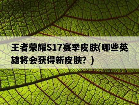 王者榮耀S17賽季皮膚，哪些英雄將會獲得新皮膚？-圖1