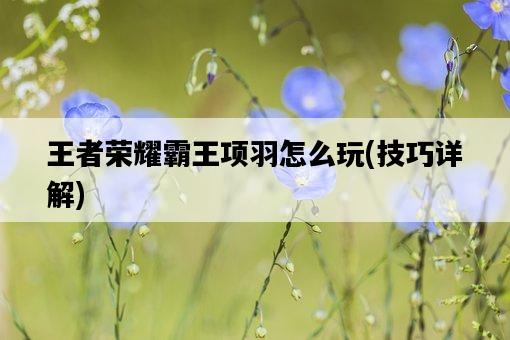 王者榮耀霸王項羽怎么玩，技巧詳解-圖1