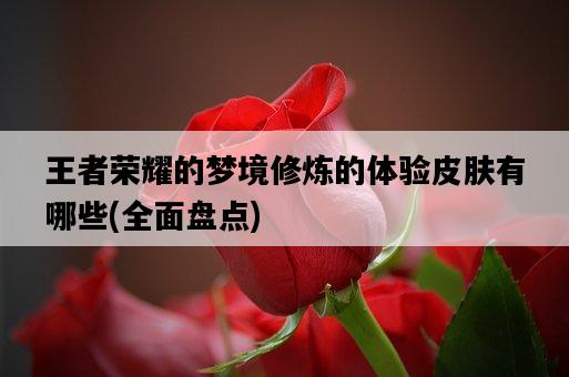 王者榮耀的夢境修煉的體驗皮膚有哪些，全面盤點-圖1