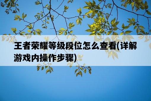 王者榮耀等級段位怎么查看，詳解游戲內操作步驟-圖1
