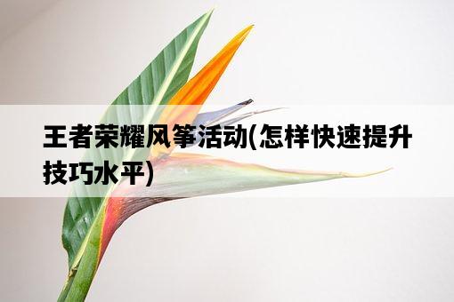王者榮耀風箏活動，怎樣快速提升技巧水平-圖1