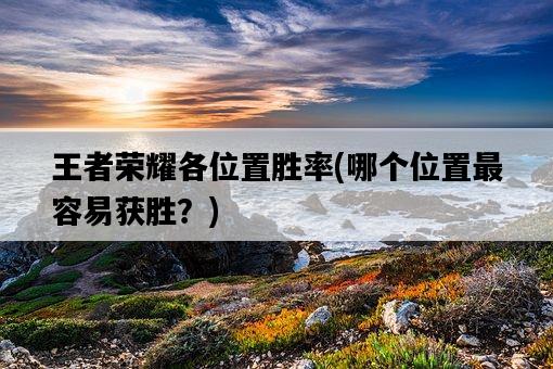 王者榮耀各位置勝率，哪個位置最容易獲勝？-圖1