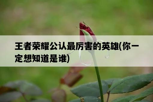 王者榮耀公認最厲害的英雄，你一定想知道是誰-圖1