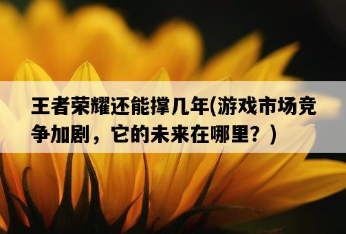王者榮耀還能撐幾年，游戲市場競爭加劇，它的未來在哪里？-圖1