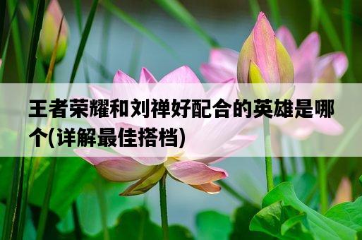 王者榮耀和劉禪好配合的英雄是哪個，詳解最佳搭檔-圖1