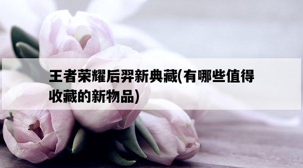 王者榮耀后羿新典藏，有哪些值得收藏的新物品-圖1