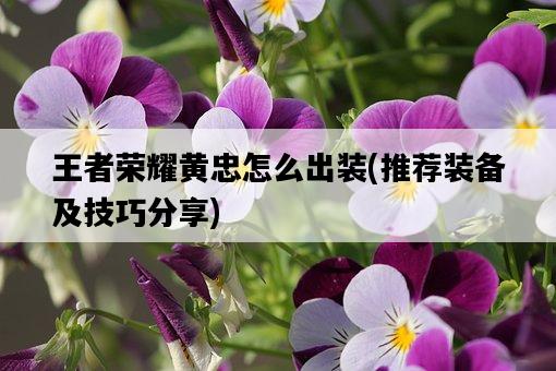 王者榮耀黃忠怎么出裝，推薦裝備及技巧分享-圖1