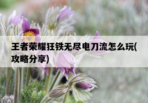 王者榮耀狂鐵無盡電刀流怎么玩，攻略分享-圖1