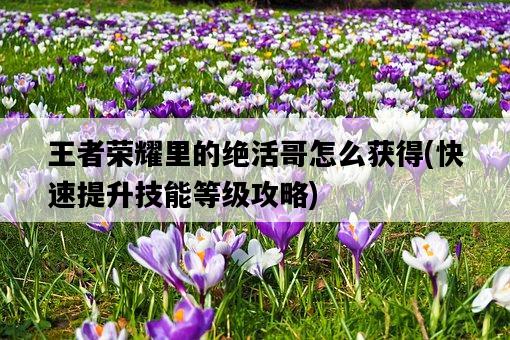 王者榮耀里的絕活哥怎么獲得，快速提升技能等級攻略-圖1