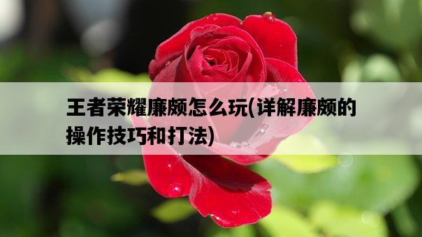 王者榮耀廉頗怎么玩，詳解廉頗的操作技巧和打法-圖1
