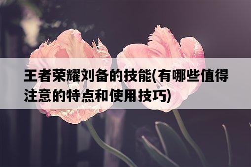 王者榮耀劉備的技能，有哪些值得注意的特點和使用技巧-圖1