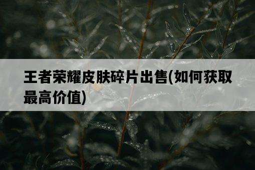 王者榮耀皮膚碎片出售，如何獲取最高價值-圖1
