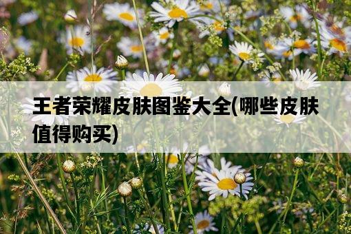 王者榮耀皮膚圖鑒大全，哪些皮膚值得購買-圖1
