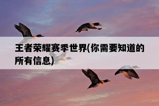 王者榮耀賽季世界，你需要知道的所有信息-圖1