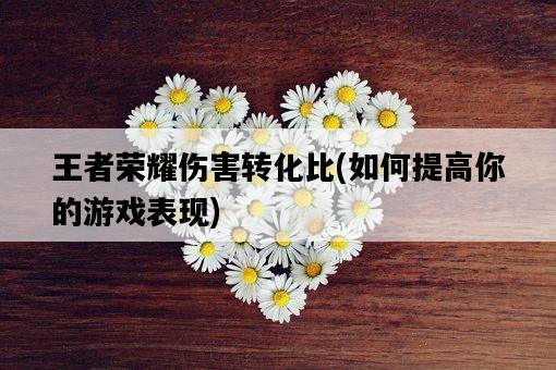 王者榮耀傷害轉化比，如何提高你的游戲表現-圖1